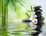 Impressum_Fotolia_Meditation_1_36696469_S_160x123