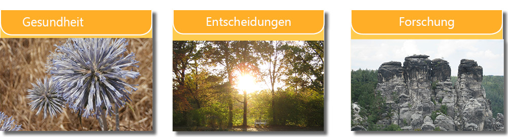 Auswahl_Gesundheit_Entscheidungen_Forschung